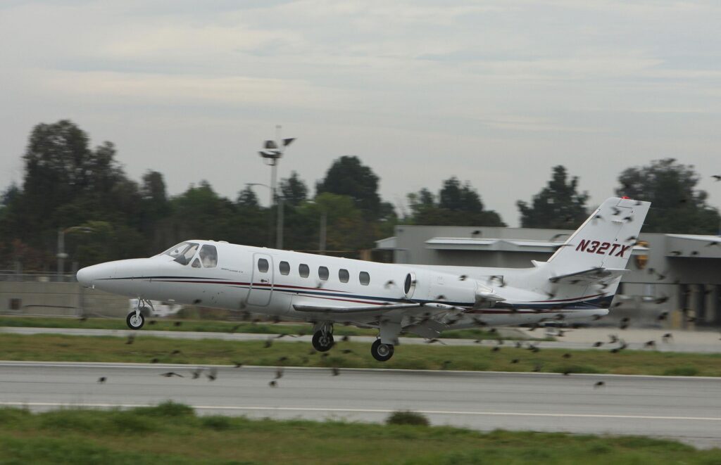 Citation jet bird strike through flock of birds