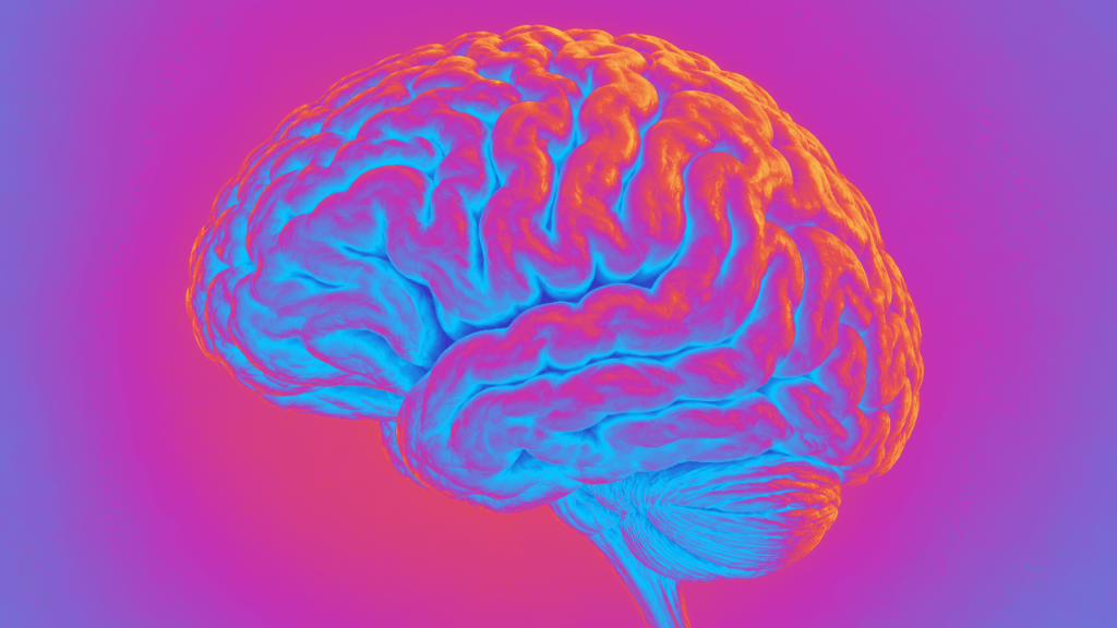 Brain fog, missed diagnoses, and lost careers: The menopause gap Cerebella wants to close